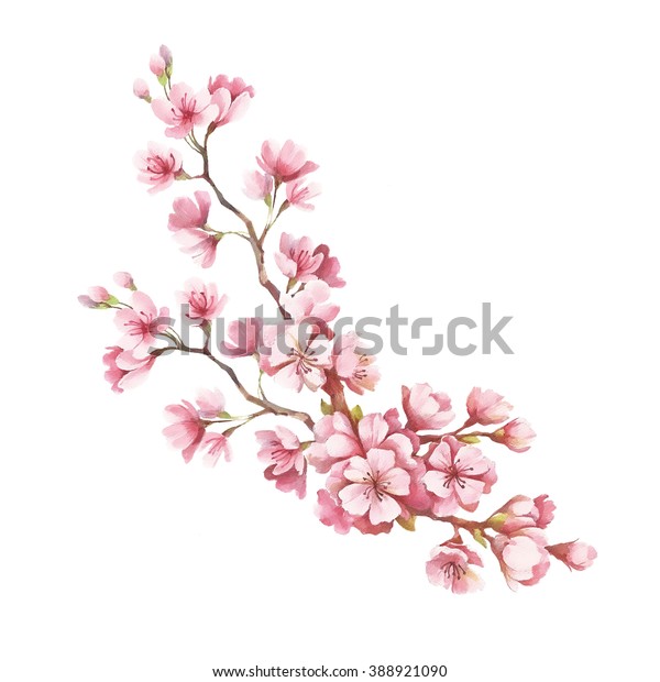 花の咲く桜の枝 水彩イラスト のイラスト素材