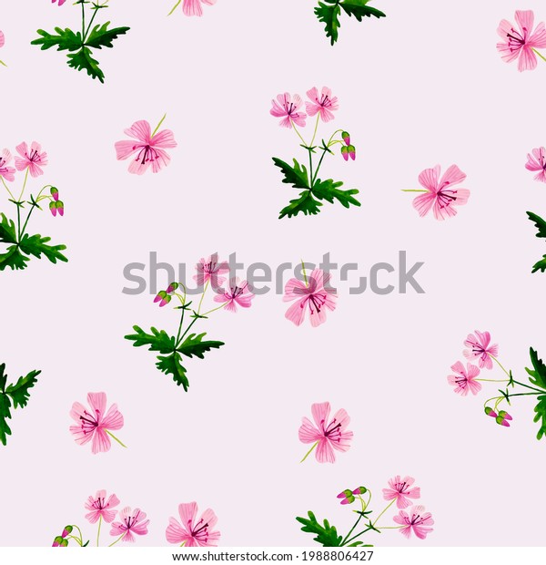 薄いピンクの背景にピンクのゼラニウムの花が咲く小枝 シームレスなパターン のイラスト素材