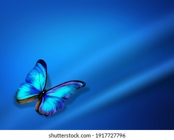 blue butterfly abstract backgrounds