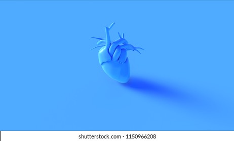 Blue Anatomical Heart Concept 3d Illustration 3d Render