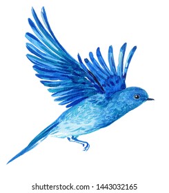 Blue Bird In Flight Watercolor Illustration On Isolated White Background