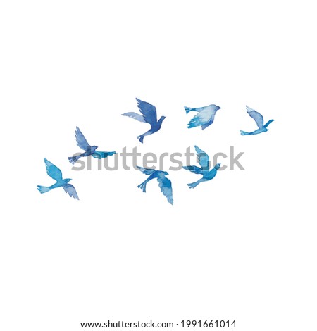 Blue bird flying in the sky