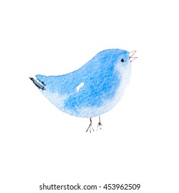 Blue Bird Hand Drawn Watercolor Aquarelle Illustration