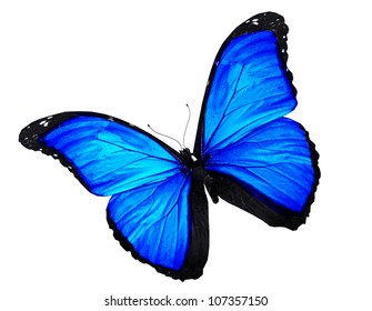 Blue Butterfly Isolated On White Stock Illustration 94832416 | Shutterstock