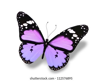 Blue Butterfly Flying Isolated On White Stock Illustration 112576895 ...