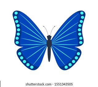blue butterfly overlay