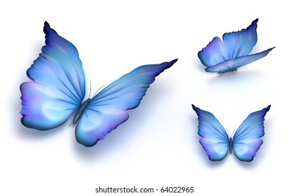 Blue Butterfly Isolated On White. 3d Render.