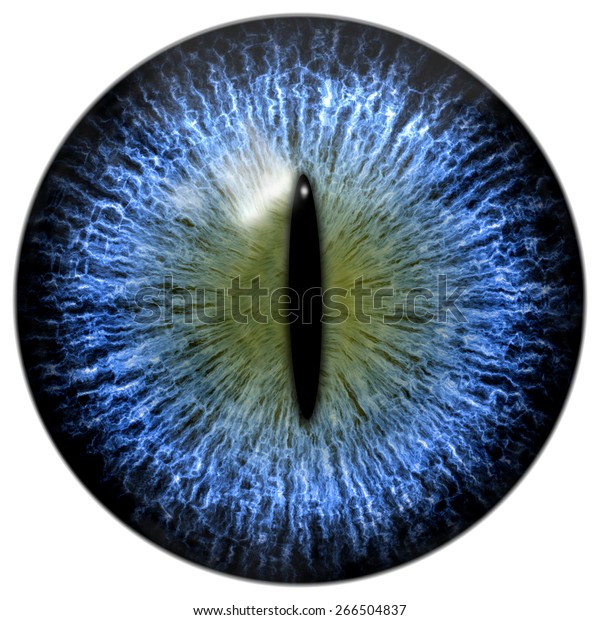 Image Shutterstock Com Image Illustration Blue