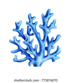 Blue coral. Sea nature. Watercolor illustration isolated on white.

