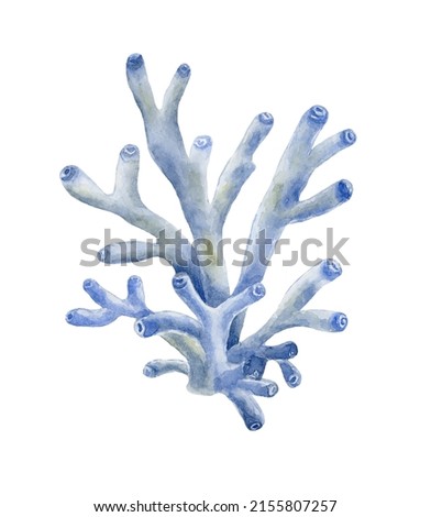 Blue coral. Underwater world. Watercolor illustration.