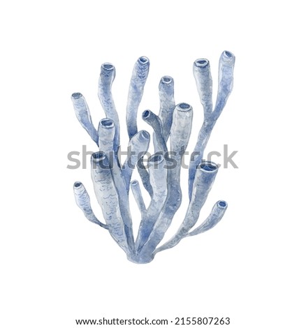 Blue coral. Underwater world. Watercolor illustration.