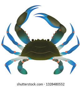 Blue Crab Illustration Stock Illustration 1328480552 | Shutterstock