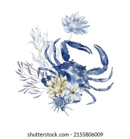 Blue Crab With Seaweeds. Watercolor Illustration.