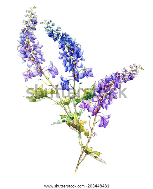 Blue Delphinium Flowers Garland Watercolor Hand Stock Illustration ...