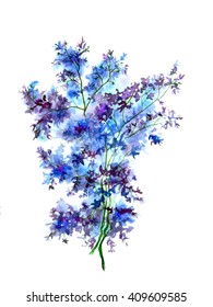 Blue flower, field and garden plant in watercolor.
Watercolor card with a sprig of lavender, blue wild flower. Vintage drawing of art created in the manual chart. With a place for inscriptions.