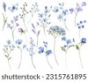 watercolor blue flower