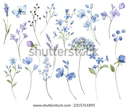 Blue flowers digital illustration, summer design, watercolor hand painting. Perfectly for printing, sublimation.