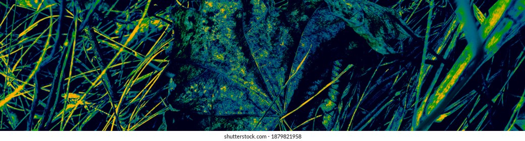 Blue Forest Splash. Yellow Plant Graffiti. Dark Elegance Banner. Green Fashion Element. Environment Wallpaper. Heaven Canva. Botanic Print. Black Abstract Background. - Powered by Shutterstock