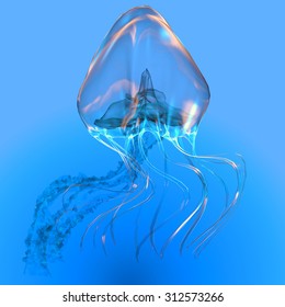 Blue Glowing Jellyfish - The Jellyfish Is A Transparent Gelatinous Predator That Uses Its Stinging Tentacles To Catch Fish And Small Prey.