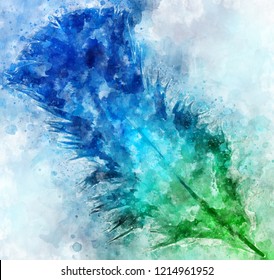 A Blue And Green Feather, Taken Into Photoshop And Has Been Equipped With A Watercolour Action.