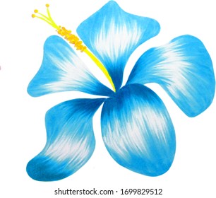 Blue Handmade Hibiscus. Summer Flower,  Maker pen.                       