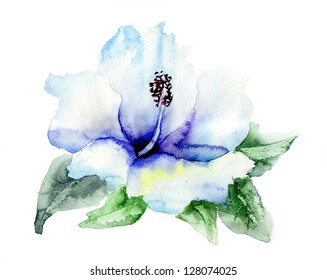 Blue Hibiscus Flower,watercolor Painting