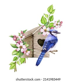 Blue Jay Bird At The Birdhouse. Watercolor Illustration. Bright Forest Bird With Tender Spring Pink Blossoms. Beautiful Spring Time Cozy Decoration. Birdhouse With Flower Decor