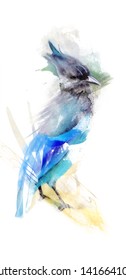 Blue Jay Bird With Mixed Painting. Hand And Digitally.