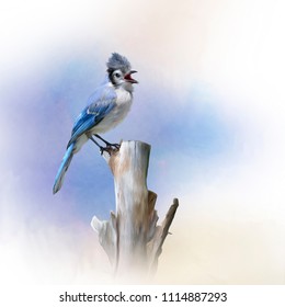 Blue Jay Bird Perched,watercolor Painting