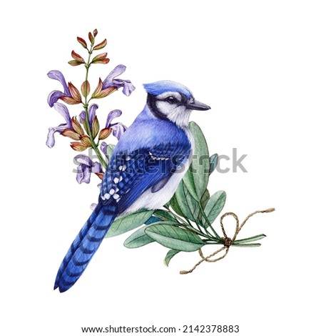 Blue jay bird with sage flowers. Watercolor illustration. Vintage hand drawn floral decor. Retro style blue bird with sage flowers ストックフォト © 