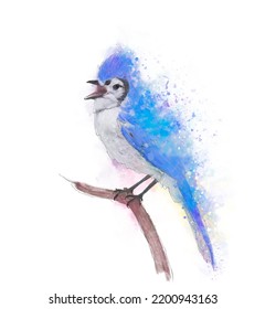 	Blue Jay Watercolor Digital Painting	