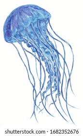 Jelly Fish Line Art Vector Illustration Stock Vector (Royalty Free ...