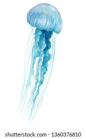 Blue Jellyfish On An Isolated White Background, Watercolor Illustration, Hand Drawing