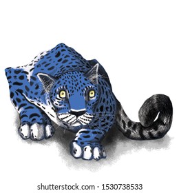 Blue Leopard Pouncing, Blue Leopard Print, Jaguar Stalking Prey, Predator In The Wild, Big Cat, Wild Cat Hunting, Dangerous Wild Animal, Eye Contact