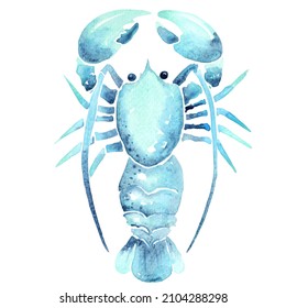 Blue Lobster Watercolor Illustration For Decoration On Seafood And Marine Life Concept.