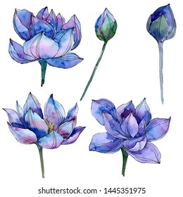 Lotus Ink Drawing Images Stock Photos Vectors Shutterstock
