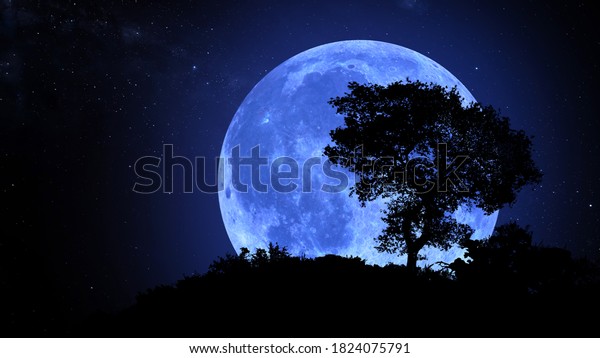 Blue moon rising over\
hill. Blue Moon and stars. Lonely tree in the night scene.\
Realistic 3D\
render.
