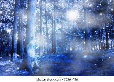Blue mystic forest