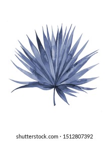 Blue palm leaf. Botanical illustration. Abstract plant. Watercolour isolated on white background.