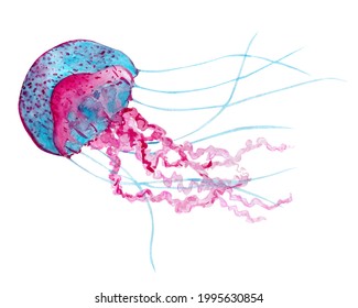 Blue And Pink Jellyfish Watercolor Clip Art