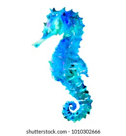 Blue Sea horse hippocampus watercolor illustration on white background
