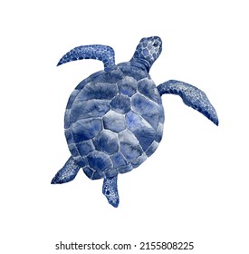 Blue Sea Turtle. Watercolor Illustration.