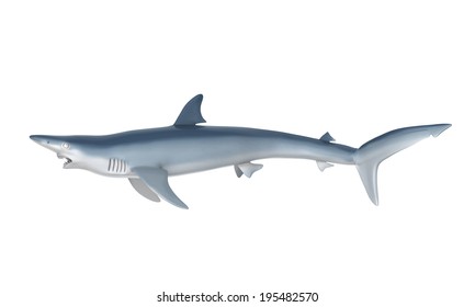 Blue Shark