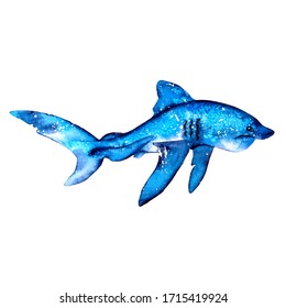 Blue shark  watercolor hand drawn illustration  Summer mood  sea  ocean  Sea   ocean creatures in blue tones  For the design invitations  children's albums  textiles  thieves  scrapbooking 