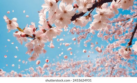 Blue sky and falling cherry blossom petals - Powered by Shutterstock