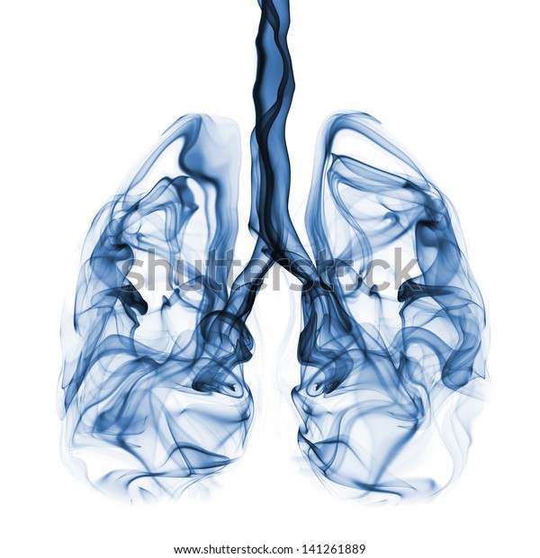Blue smoke formation shaped as human lungs.\
Illustration of smokers lungs which could be used in non-smoking\
campaigns or lung cancer\
campaigns.