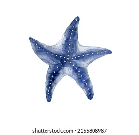 Blue Starfish. Underwater World. Watercolor Illustration.