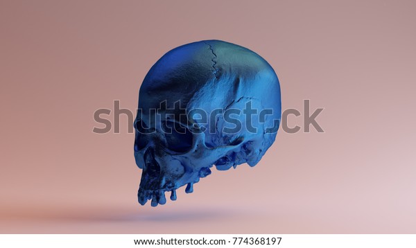Blue Tin Skull 3d illustration 3d rendering\
scsuvizlab - (CC\
Attribution)