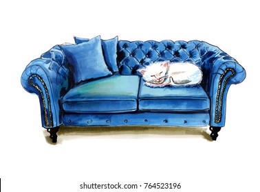 Blue Velvet Sofa With White Cat