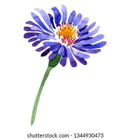 Aster Tattoo Images Stock Photos Vectors Shutterstock,Lawn Aeration Plugs